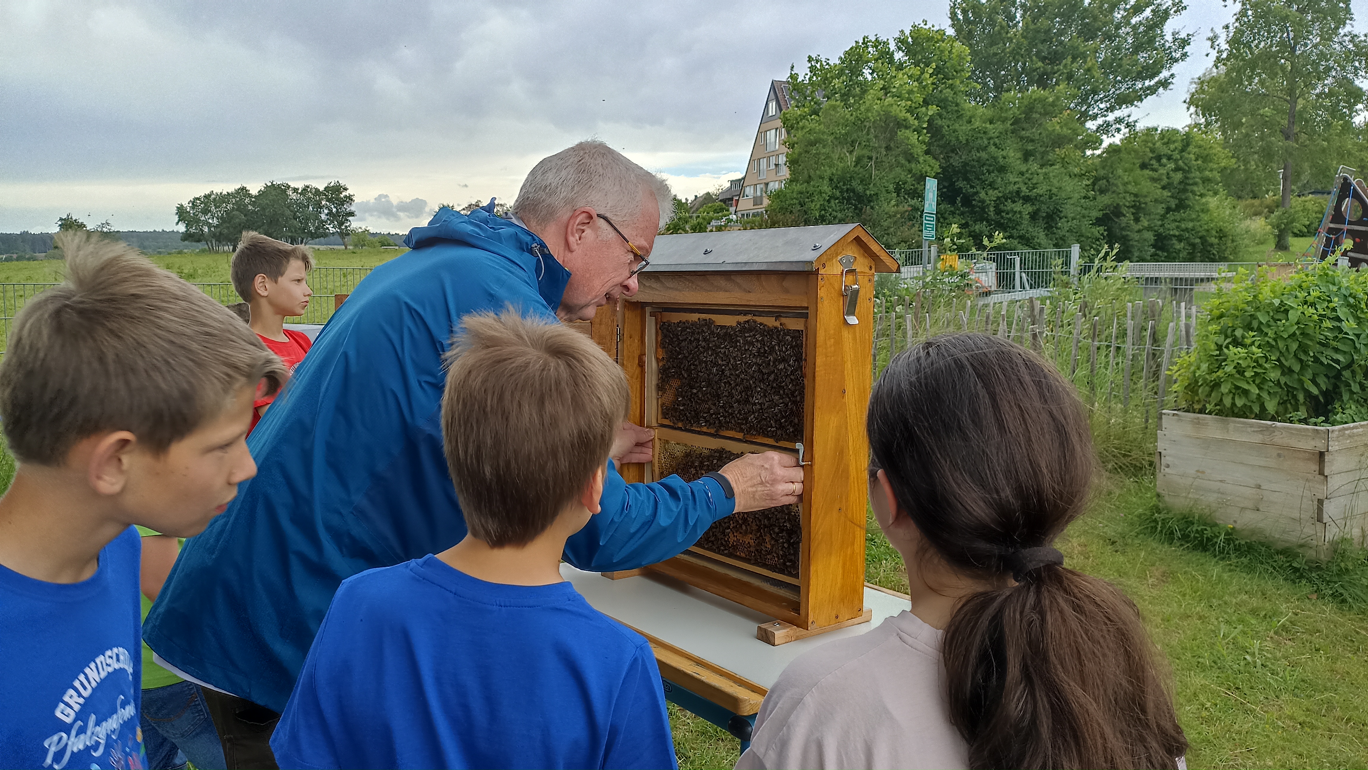  Am Bienenschaukasten 